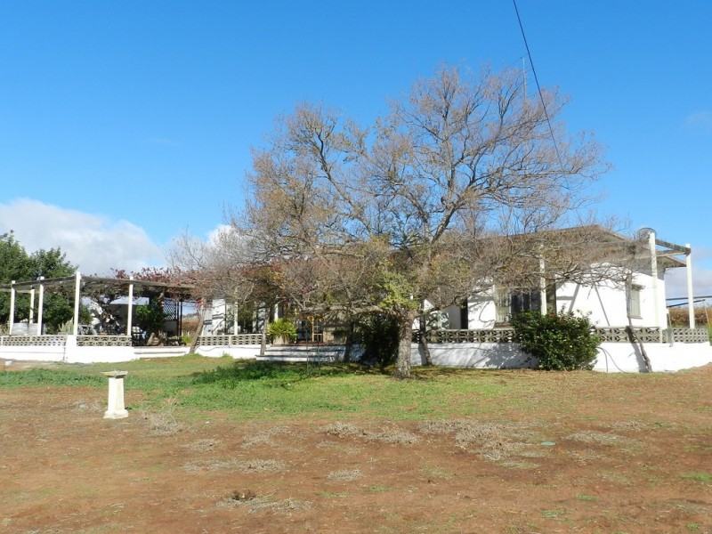 56 Costello Road, Loveday SA 5345