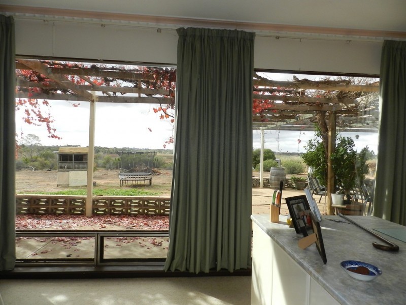 56 Costello Road, Loveday SA 5345