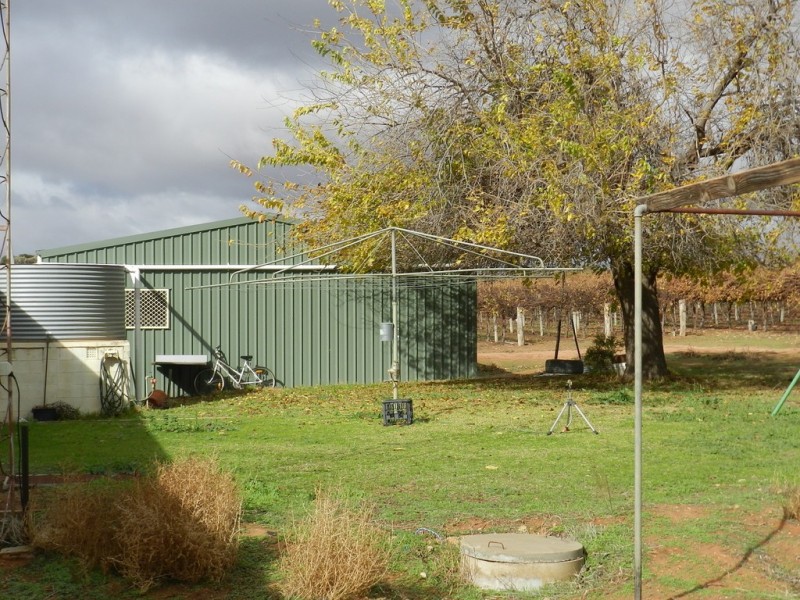 56 Costello Road, Loveday SA 5345