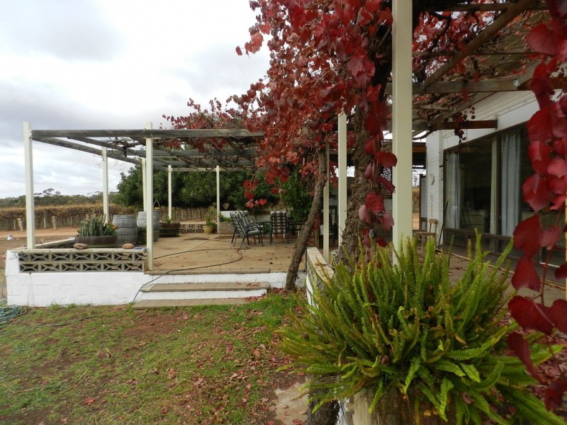 56 Costello Road, Loveday SA 5345