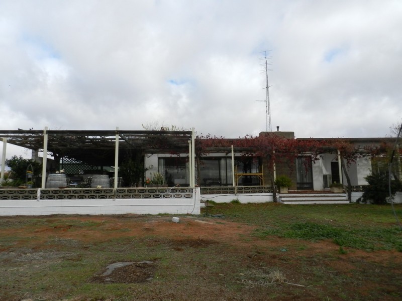 56 Costello Road, Loveday SA 5345