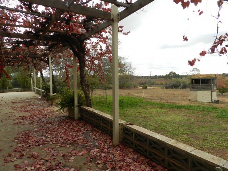 56 Costello Road, Loveday SA 5345