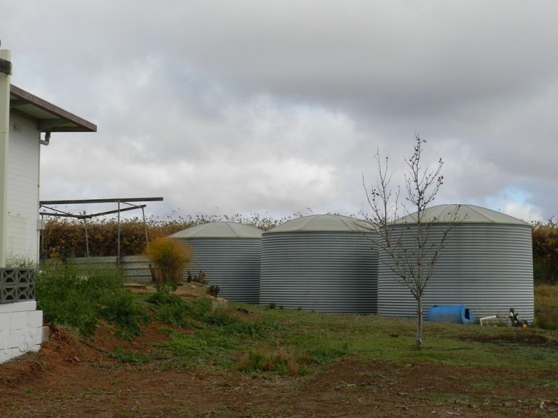 56 Costello Road, Loveday SA 5345