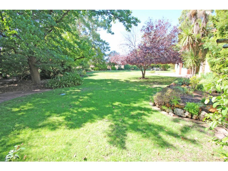 189 Ral Ral Avenue, Renmark SA 5341