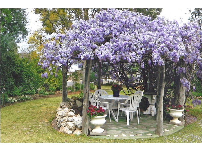 189 Ral Ral Avenue, Renmark SA 5341