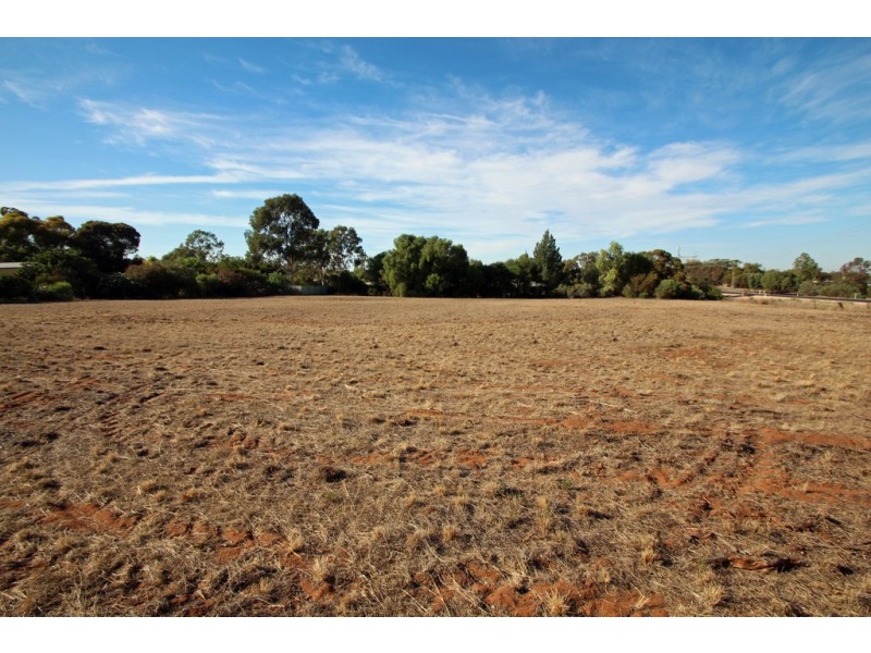 38 Murtho Road, Paringa SA 5340