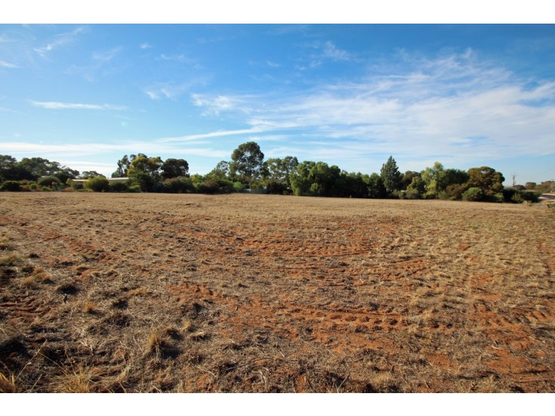 38 Murtho Road, Paringa SA 5340