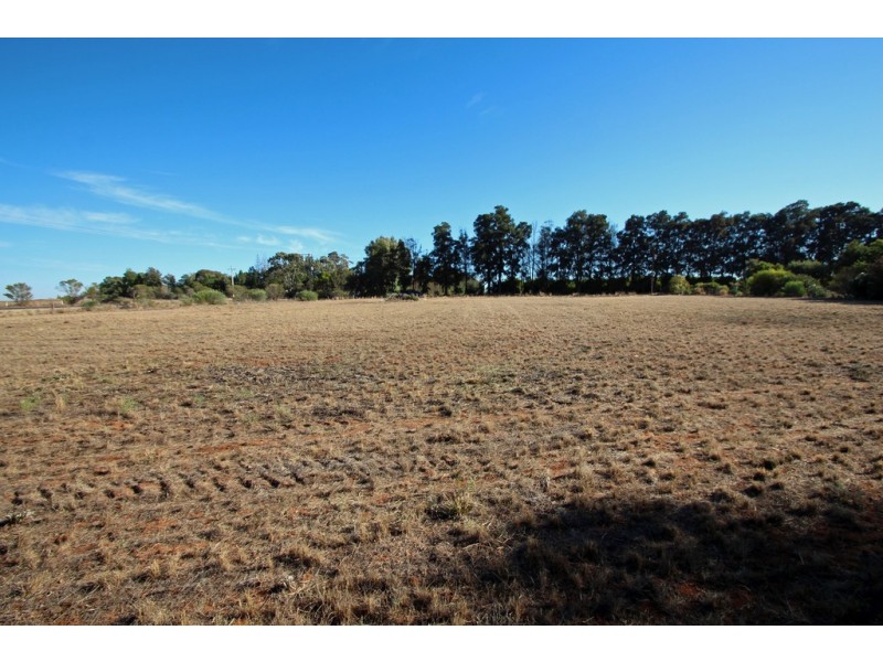 38 Murtho Road, Paringa SA 5340