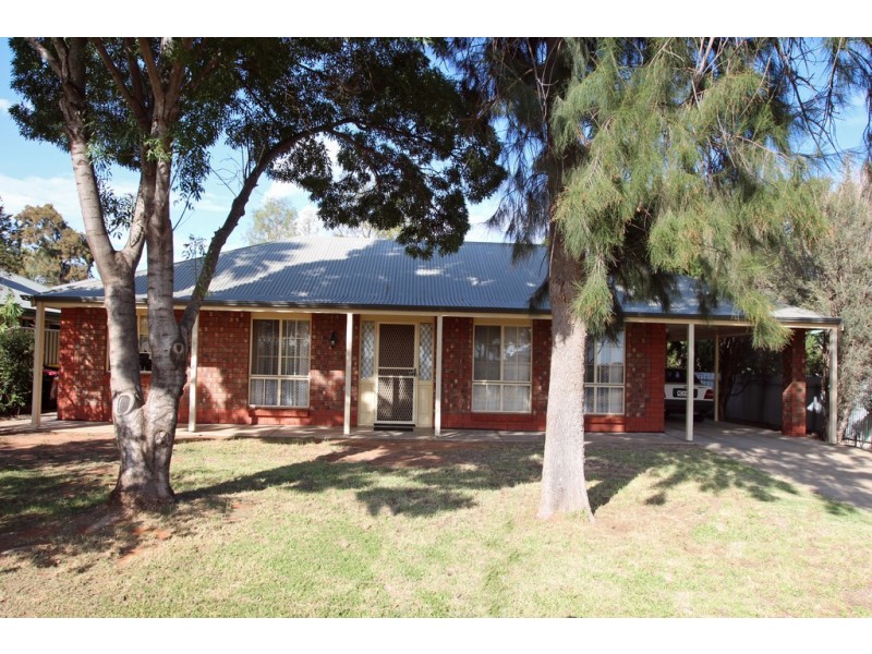 199 Ral Ral Avenue, Renmark SA 5341
