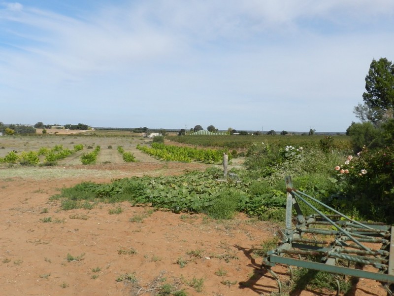 44 Bray Road, Glossop SA 5344