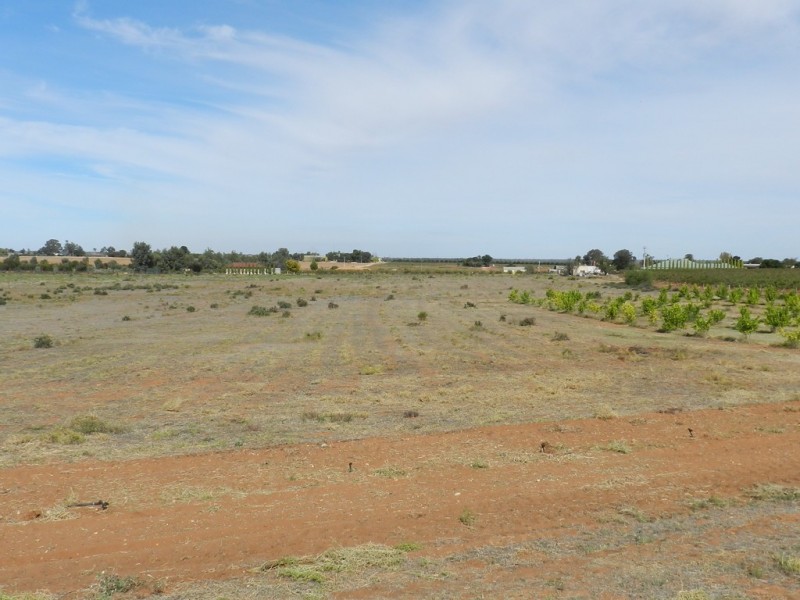 44 Bray Road, Glossop SA 5344