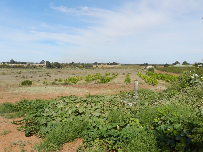 44 Bray Road, Glossop SA 5344