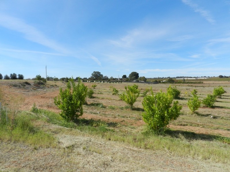 44 Bray Road, Glossop SA 5344