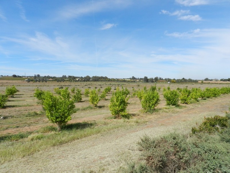 44 Bray Road, Glossop SA 5344