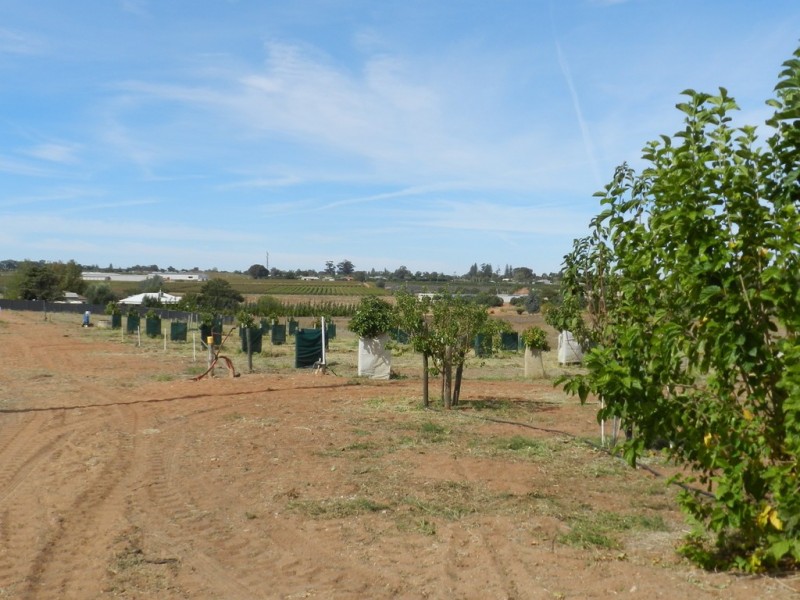 44 Bray Road, Glossop SA 5344