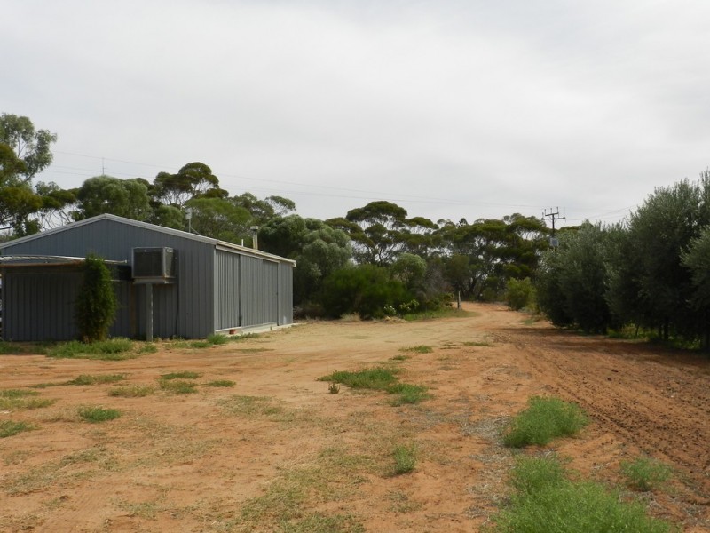 44 Bray Road, Glossop SA 5344