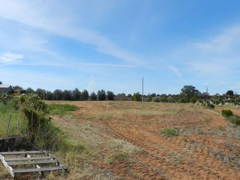 44 Bray Road, Glossop SA 5344