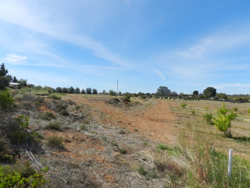 44 Bray Road, Glossop SA 5344