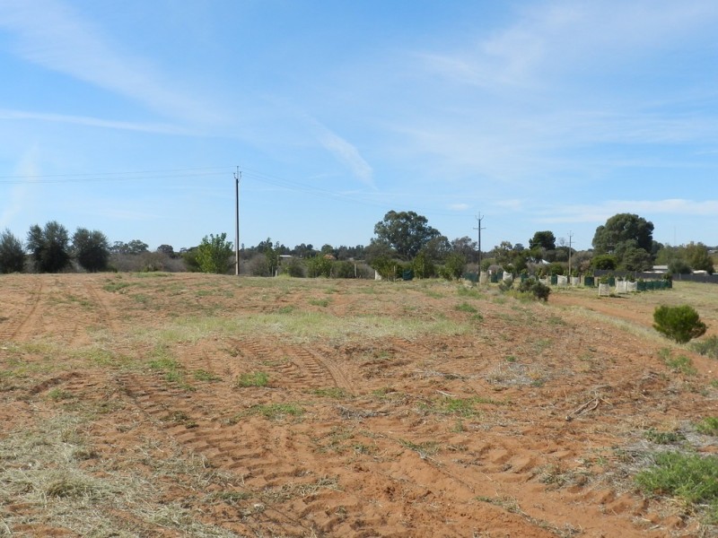 44 Bray Road, Glossop SA 5344