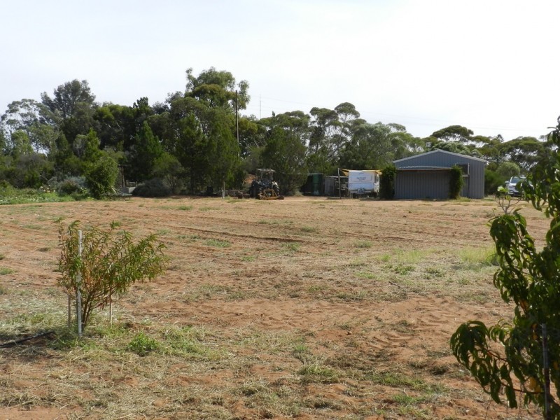 44 Bray Road, Glossop SA 5344