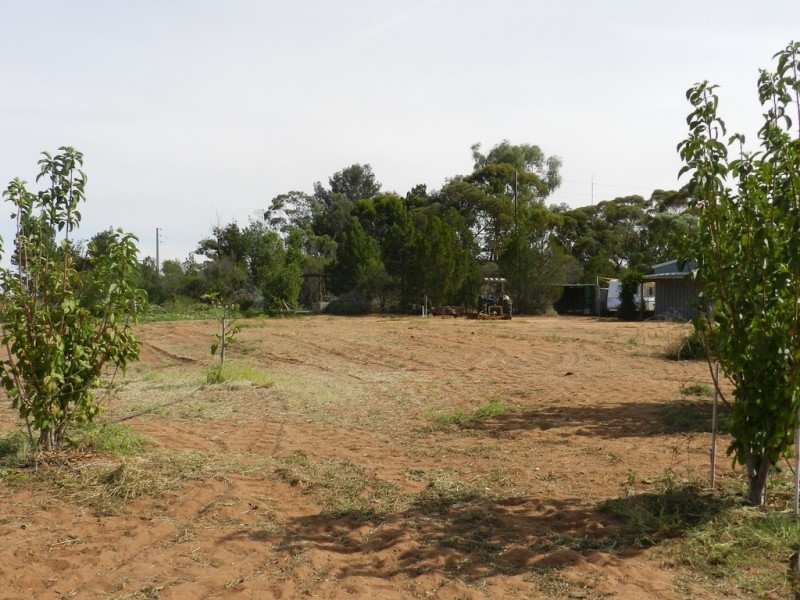 44 Bray Road, Glossop SA 5344