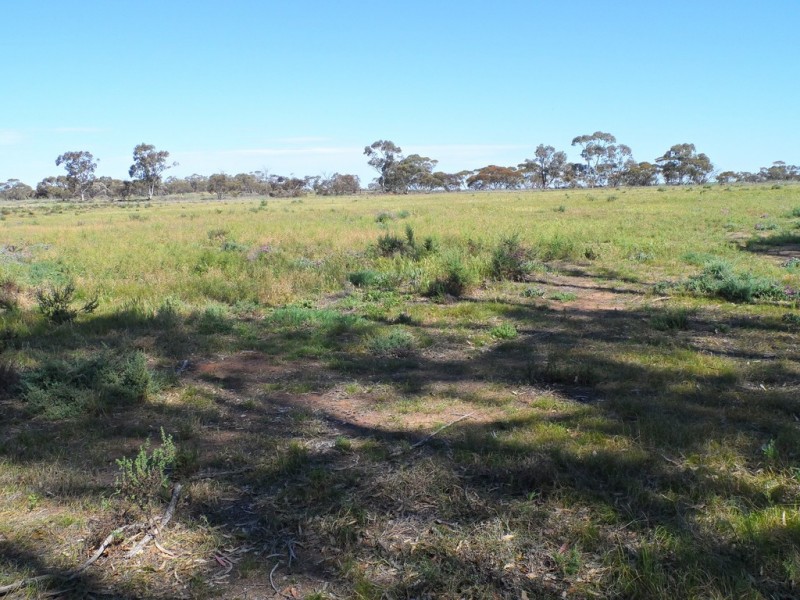 Section 71 Hundred of Kekwick, Paruna SA 5311
