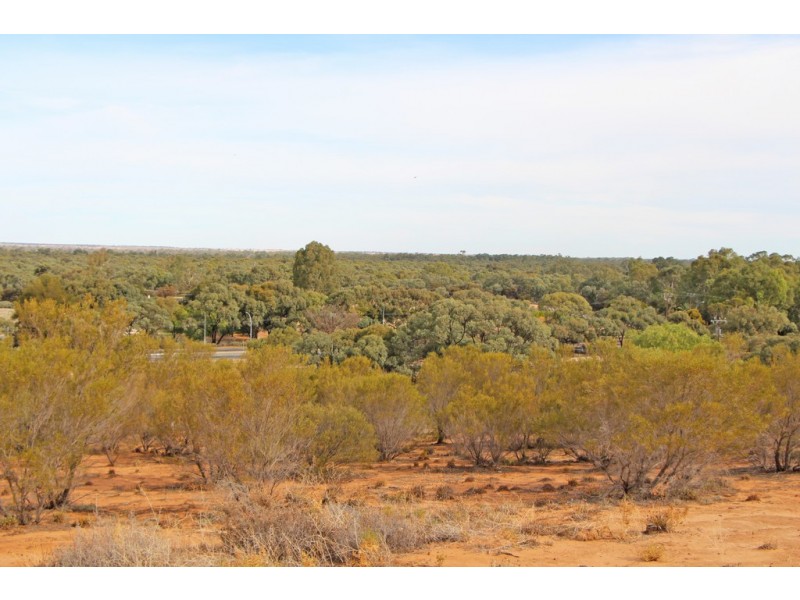 19 Murtho Road, Paringa SA 5340
