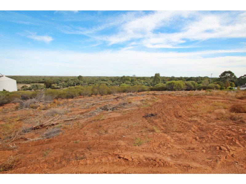 19 Murtho Road, Paringa SA 5340