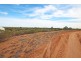 19 Murtho Road, Paringa SA 5340