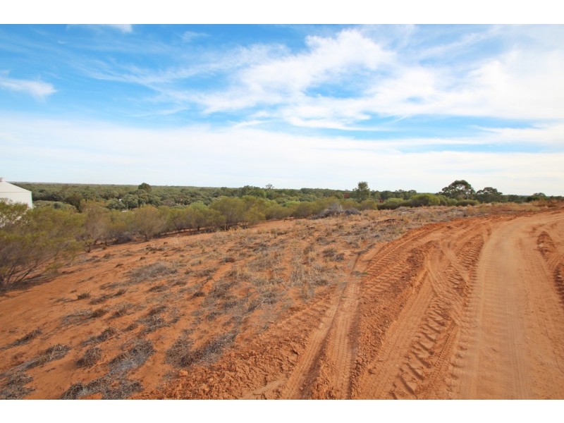 19 Murtho Road, Paringa SA 5340