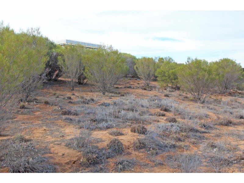 19 Murtho Road, Paringa SA 5340