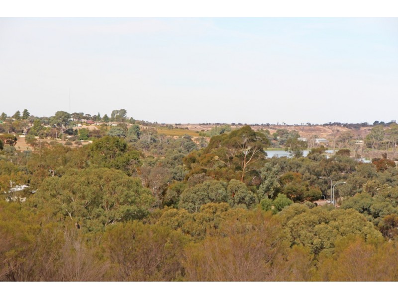 19 Murtho Road, Paringa SA 5340