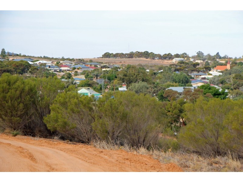 19 Murtho Road, Paringa SA 5340
