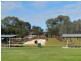13 Cocksedge Road, Barmera SA 5345