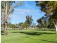 13 Cocksedge Road, Barmera SA 5345