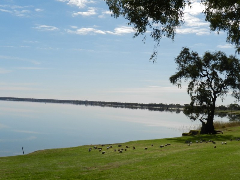 13 Cocksedge Road, Barmera SA 5345