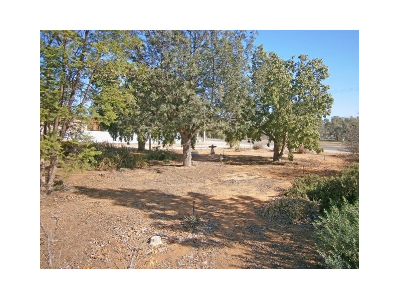 11 Thayne Terrace, Lyrup SA 5343