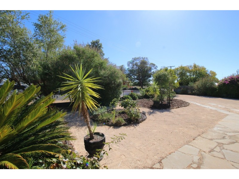 2 Roberts Street, Berri SA 5343