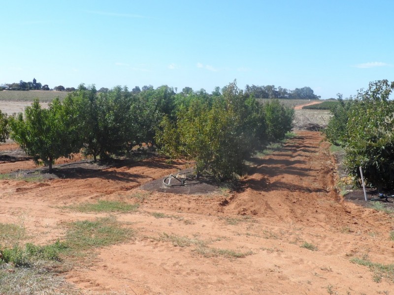 283 Kibby Road, Loxton SA 5333