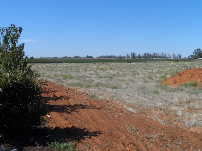 283 Kibby Road, Loxton SA 5333