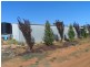 283 Kibby Road, Loxton SA 5333