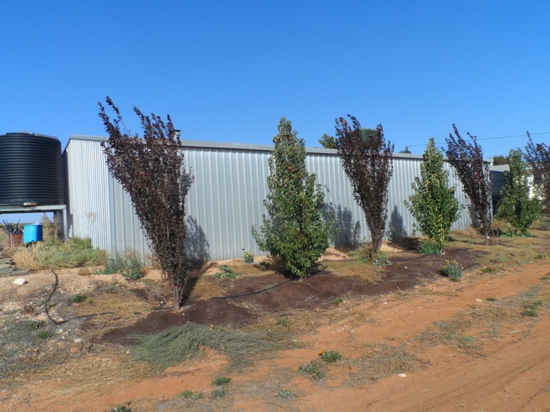 283 Kibby Road, Loxton SA 5333