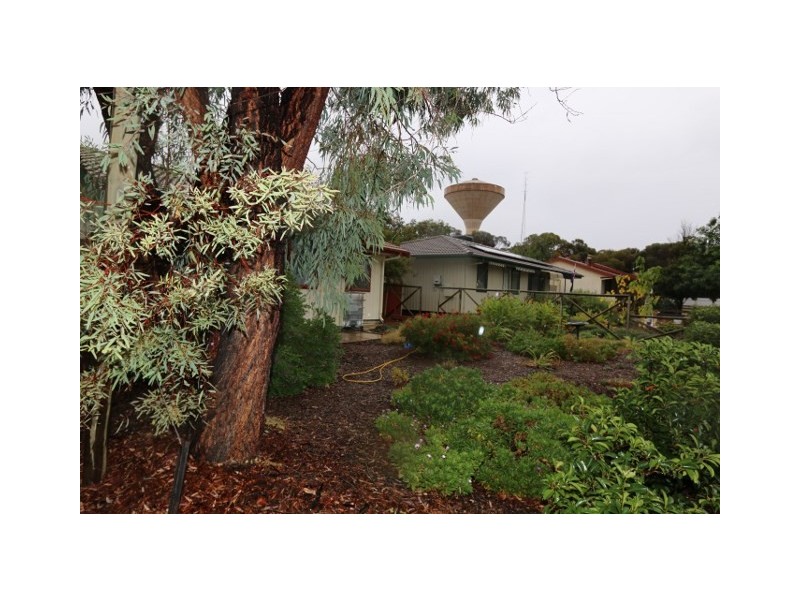 8 DON ELLIOTT DRIVE, Waikerie SA 5330