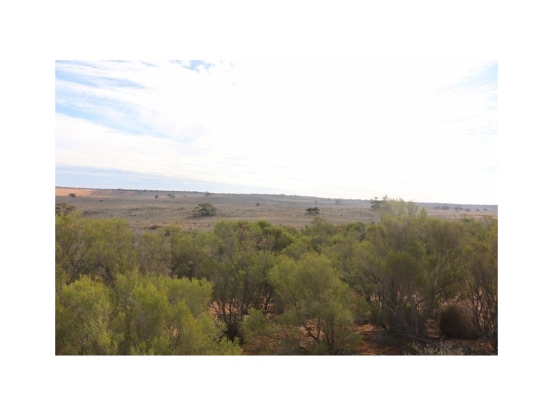 Lot 3 Twigden Road, Taylorville SA 5330