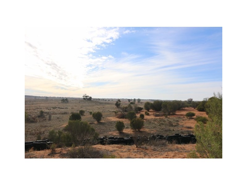 Lot 3 Twigden Road, Taylorville SA 5330