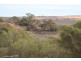 Lot 3 Twigden Road, Taylorville SA 5330