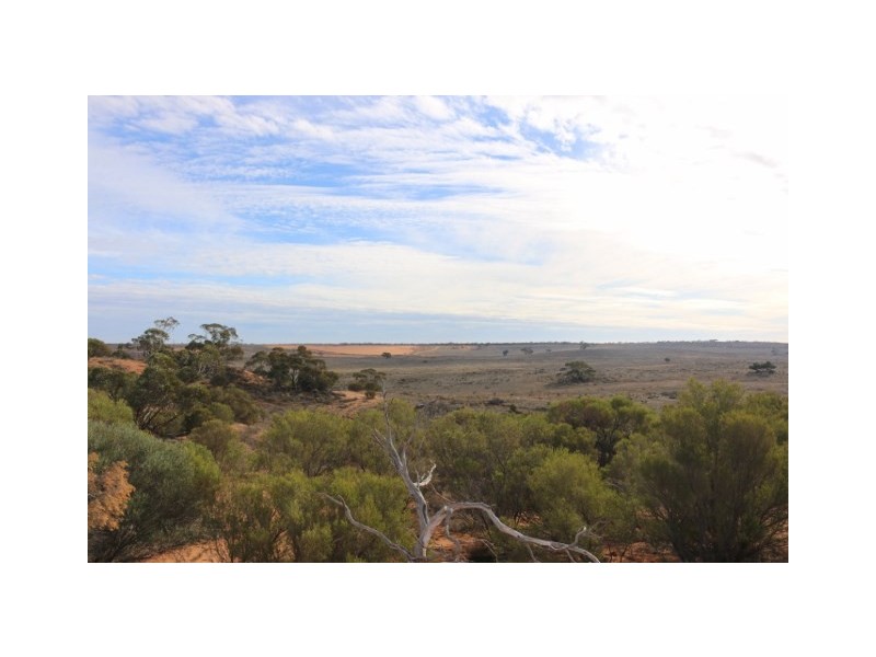 Lot 3 Twigden Road, Taylorville SA 5330