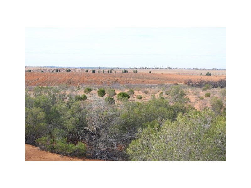 Lot 3 Twigden Road, Taylorville SA 5330