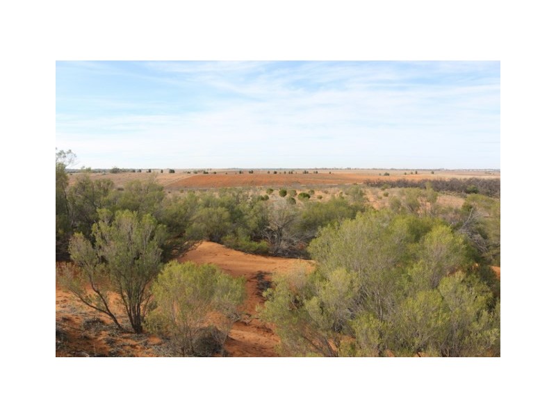 Lot 3 Twigden Road, Taylorville SA 5330