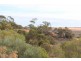 Lot 3 Twigden Road, Taylorville SA 5330